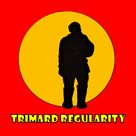 affiche de1er Trimard Regularity